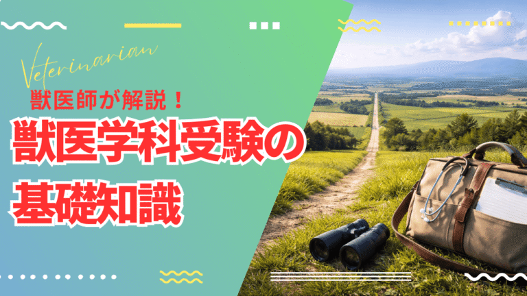 【初めての方向け】獣医学科受験の基礎知識｜まず知っておきたい全体像と考え方