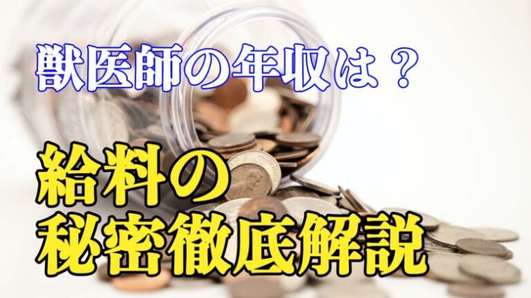 獣医師の年収・給料を徹底解剖！獣医師の働き方すべての年収大公開！