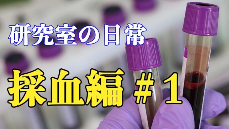 研究室の日常　採血編＃1 暴れて難しいぞ、猫の採血！