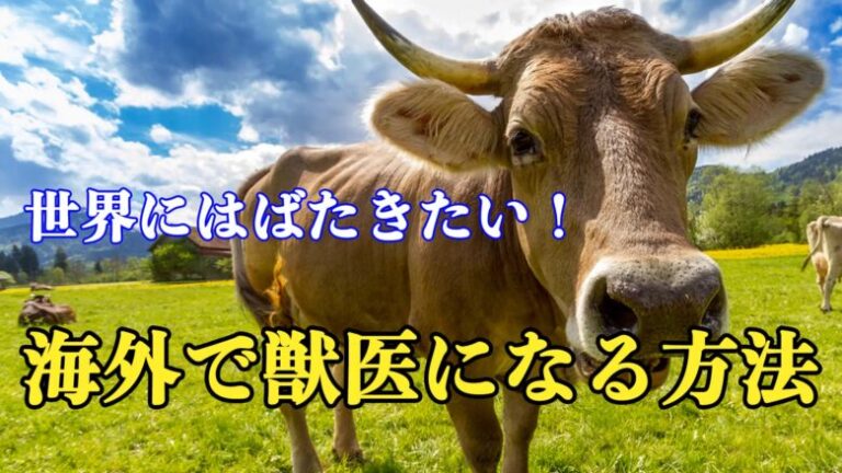 【小中学生向け】世界の獣医さん！日本の獣医さんと海外の獣医さんの違いって？