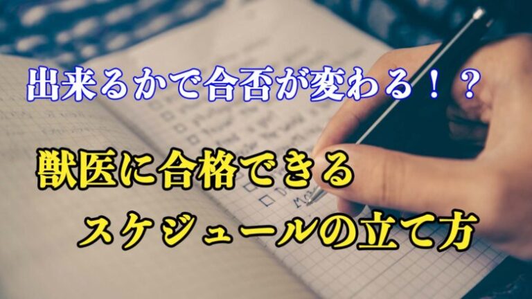 出来るかで合否が変わる！？獣医に合格できる勉強スケジュールの立て方！