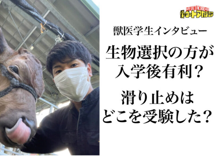 【獣医学生ブログ】理社の選択は重要？滑り止めはどこを受けた？