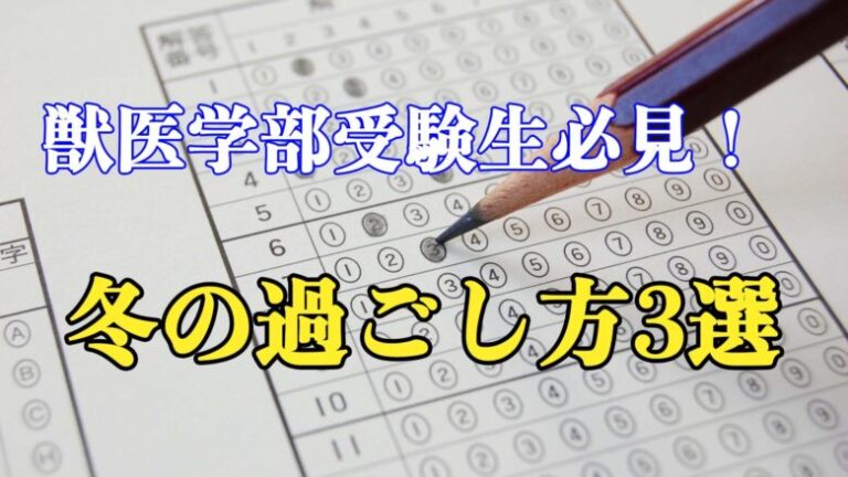 獣医学部受験生必見！この冬を有効に活用するにはどうしたらいいの？