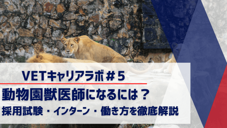 動物園獣医師になるには？採用試験・インターン・働き方を徹底解説