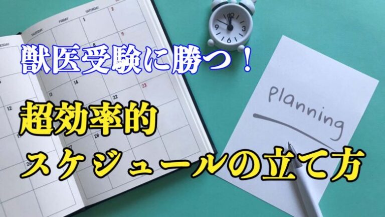 獣医受験に勝つ！超効率的スケジュールの立て方を紹介 　