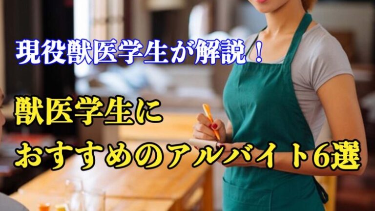 現役獣医学生が解説！獣医学生におすすめのアルバイト6選！