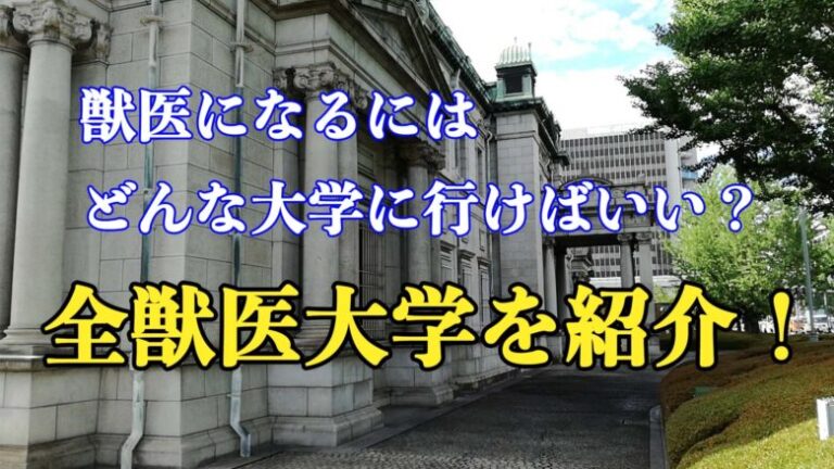 【国公立】獣医になるにはどんな大学に行けばいい？全大学を紹介！