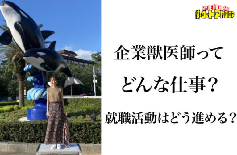 企業獣医師ってどんな仕事？就職活動はどのように進める？