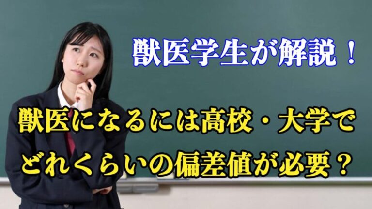 獣医学生が解説！獣医になるには高校・大学でどれくらいの偏差値が必要？