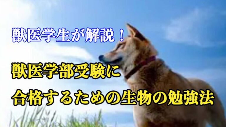 獣医学生が解説！獣医学部受験に合格するための生物の勉強法
