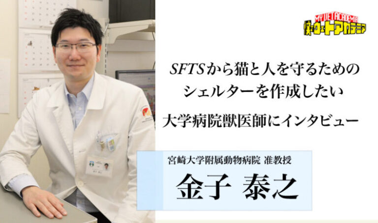 SFTSから猫と人を守るためのシェルターを作成したい　大学病院獣医師にインタビュー