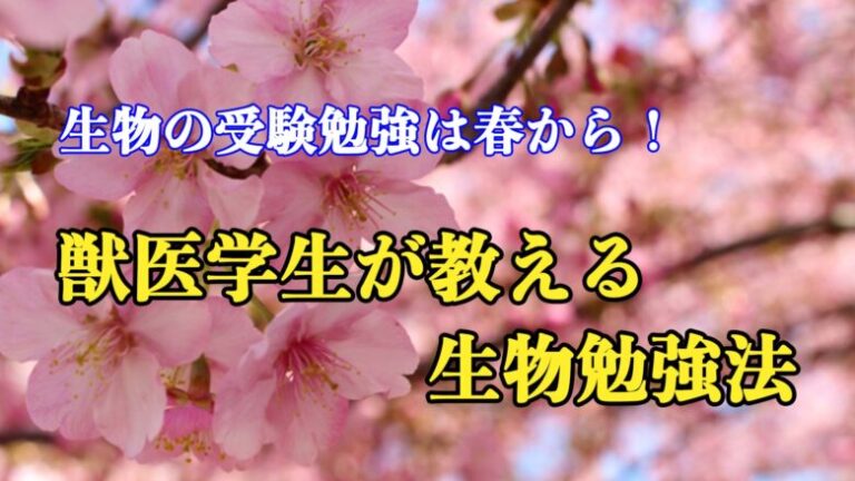 生物の受験勉強は春から！獣医学生が教える生物勉強法