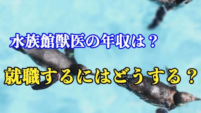 水族館獣医の年収はどれくらい?なるにはどうしたらいい?