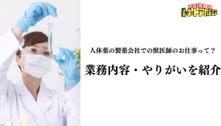 人体薬の製薬会社での獣医師のお仕事って？業務内容ややりがいを紹介