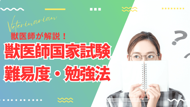 獣医師国家試験の難易度は高い？現役獣医師が語る合格までのリアルと勉強法