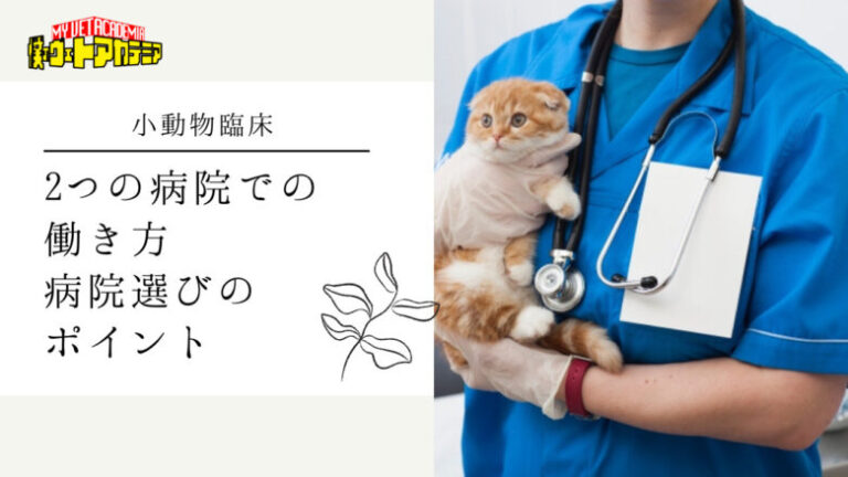 【インタビュー】小動物臨床 2つの病院での働き方や病院選びのポイントとは？