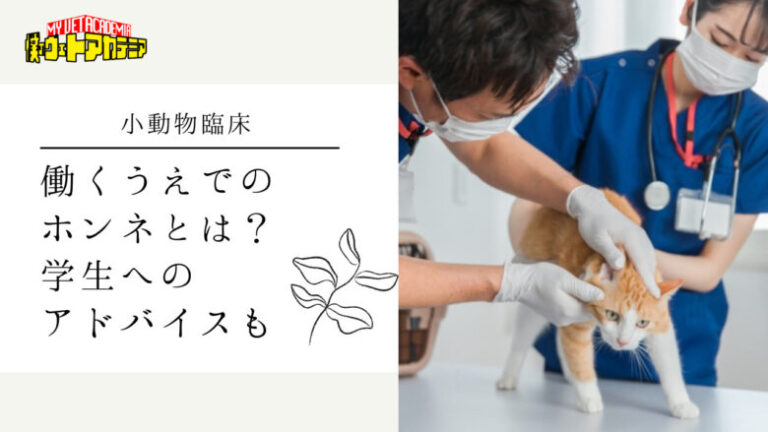 【インタビュー】小動物臨床のホンネとは？学生へのアドバイスも！
