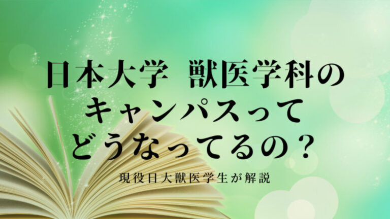 日本大学  獣医学科のキャンパスってどうなってるの？ 現役日大獣医学生が解説