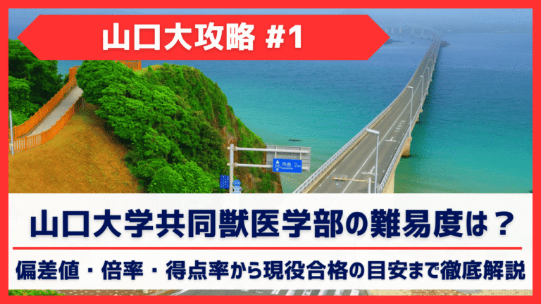 山口大学共同獣医学部の難易度は？偏差値・倍率・得点率から現役合格の目安まで徹底解説
