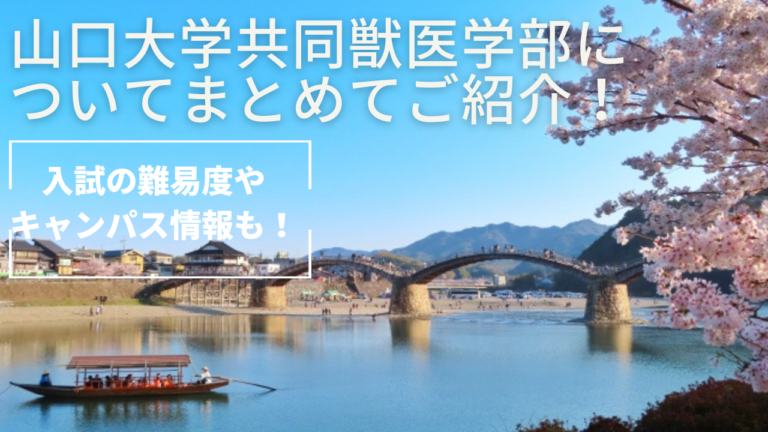 山口大学共同獣医学部についてまとめてご紹介！【入試の難易度やキャンパス情報も！】