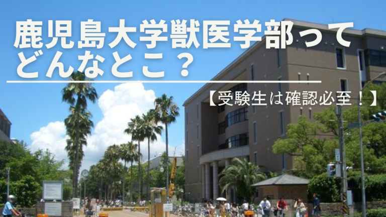 鹿児島大学 獣医学部ってどんなとこ？関連情報をまとめて紹介！