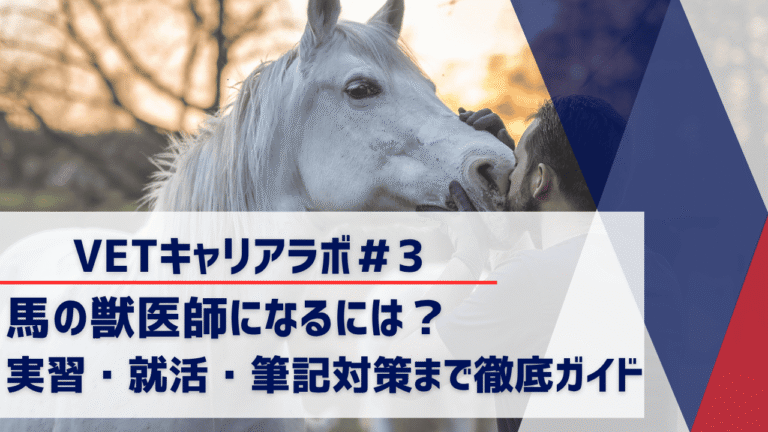 馬の獣医師になるには？実習・就活・筆記対策まで徹底ガイド