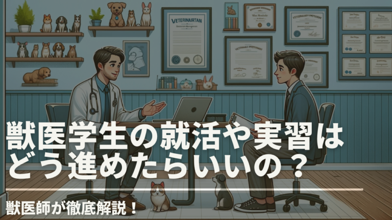 獣医学生の就活や実習はどう進めたらいいの？獣医師が徹底解説！