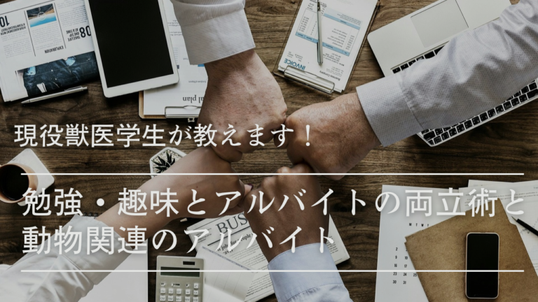 現役獣医学生が教える勉強・趣味とアルバイトの両立術と動物関連のアルバイト