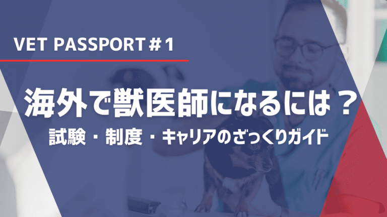 海外で獣医師になるには？試験・制度・キャリアのざっくりガイド