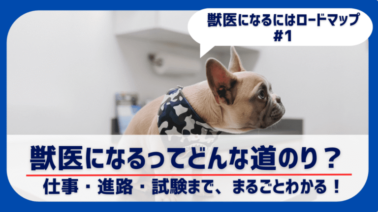【小中学生向け】獣医師になるにはどうしたらいい？大学受験・国家試験・就職までを獣医師がまるっと解説！
