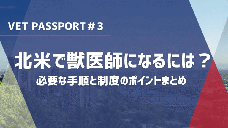 北米で働く獣医師になるには？必要な手順と制度のポイントまとめ