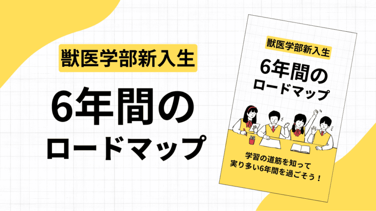 最短で「デキる獣医学生」になるためのロードマップ｜6年間の全貌と1年生でやるべきことを完全解説