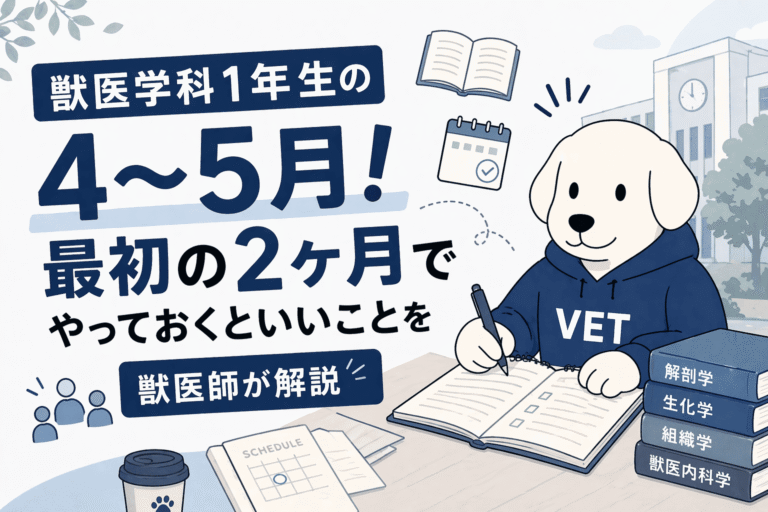 獣医学科1年生の4〜5月！最初の2ヶ月でやっておくといいことを獣医師が解説