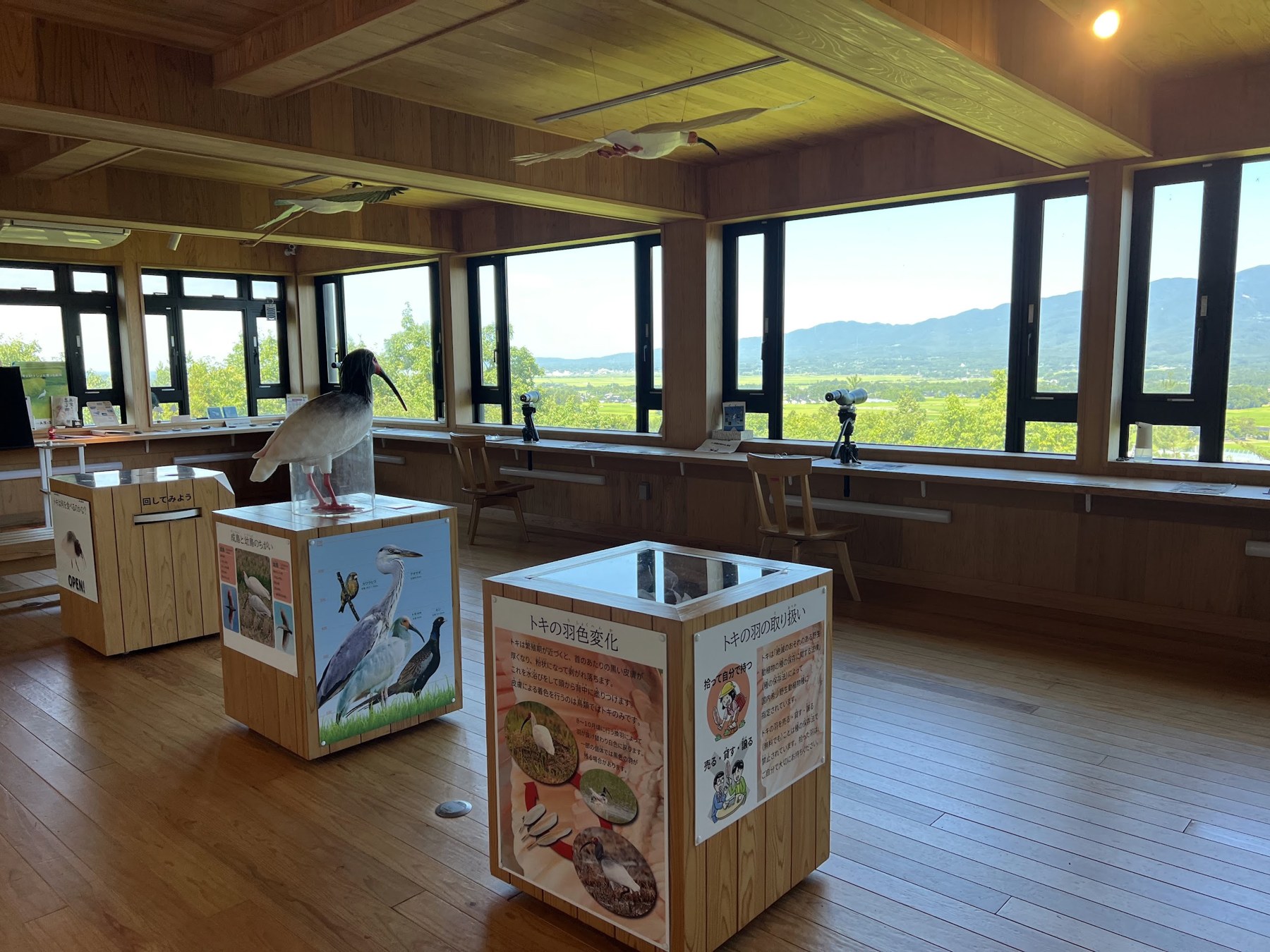 木造のトキのテラス観察室。窓辺に望遠鏡が並び、田んぼと山並みを見渡せる。室内にはトキの展示がある。